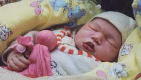 Viola mit Seidenpuppe